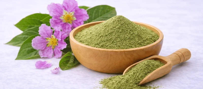 banaba leaf for blood sugar/insulin support