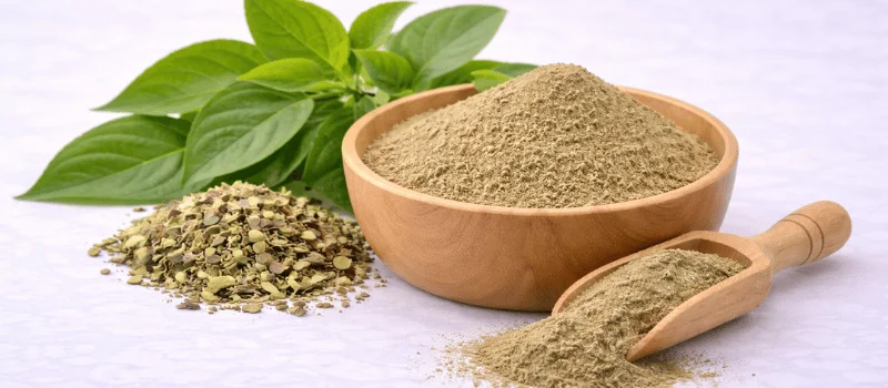 gymnema sylvestre for blood sugar/insulin support